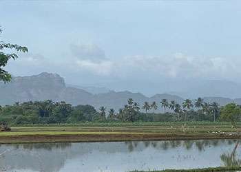 Suraj